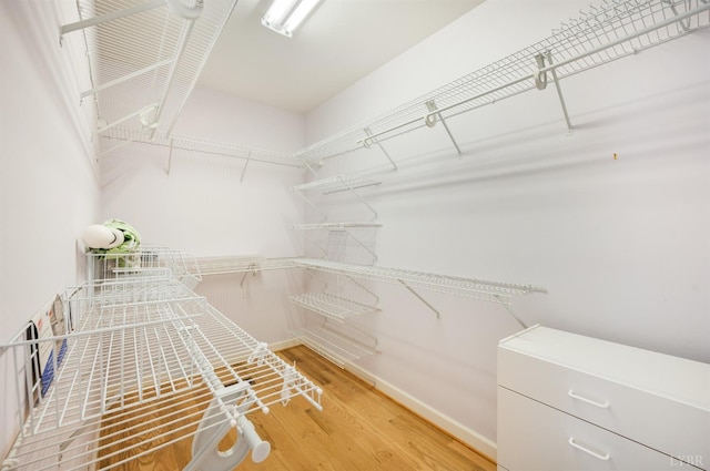 1348 Lake Shore Dr, Forest, VA 24551 - walk in closet featuring light wood finished floors