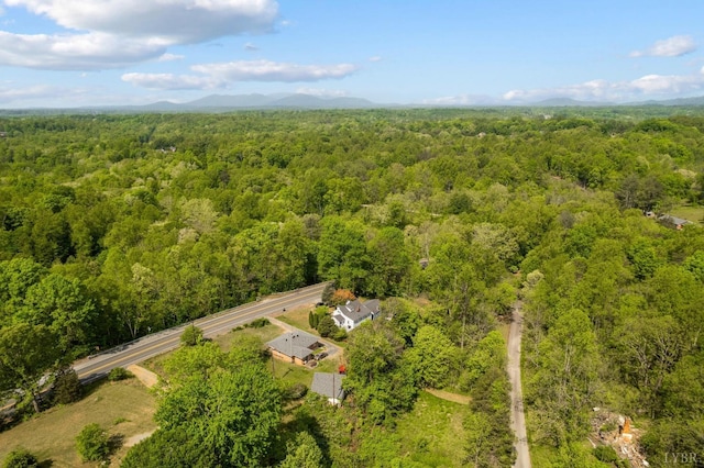 906 Elon Rd, Madison Heights, VA 24572 - bird's eye view of a heavily wooded area