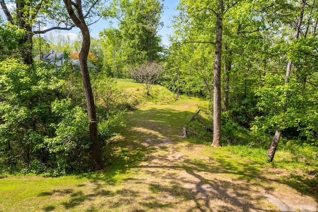 906 Elon Rd, Madison Heights, VA 24572 - view of road with a view of trees