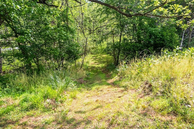 906 Elon Rd, Madison Heights, VA 24572 - view of wooded area