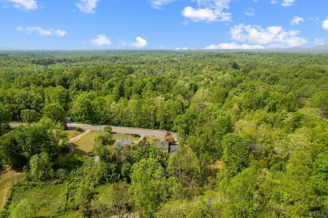 906 Elon Rd, Madison Heights, VA 24572 - bird's eye view of a forest