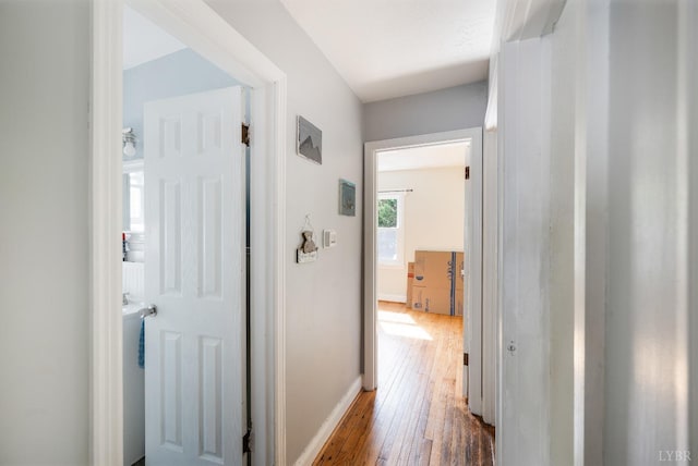 906 Elon Rd, Madison Heights, VA 24572 - hall with hardwood / wood-style floors and baseboards