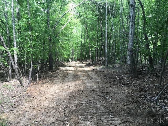 687 Elon Rd, Madison Heights, VA 24572