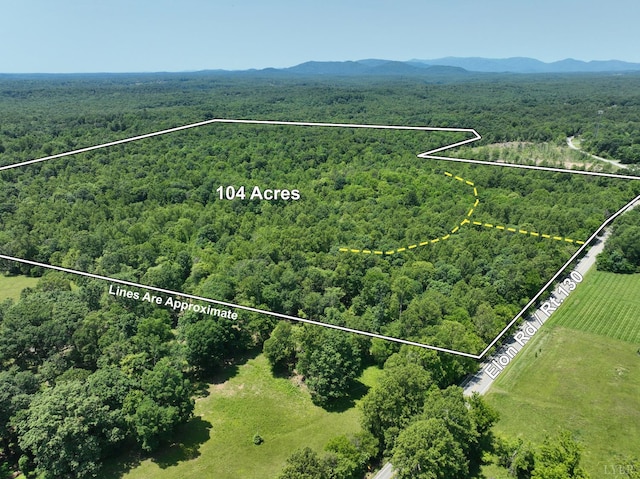 687 Elon Rd, Madison Heights, VA 24572 - photo 36