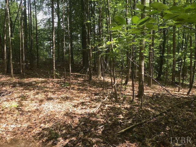 687 Elon Rd, Madison Heights, VA 24572
