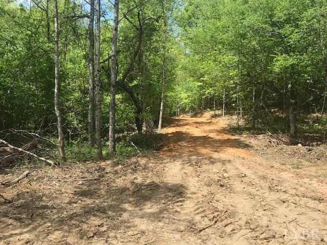 687 Elon Rd, Madison Heights, VA 24572