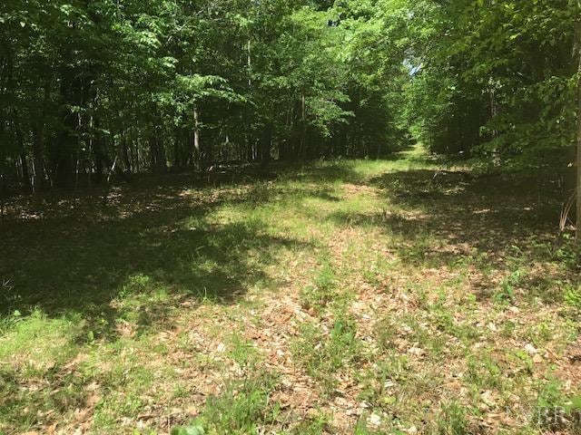 687 Elon Rd, Madison Heights, VA 24572