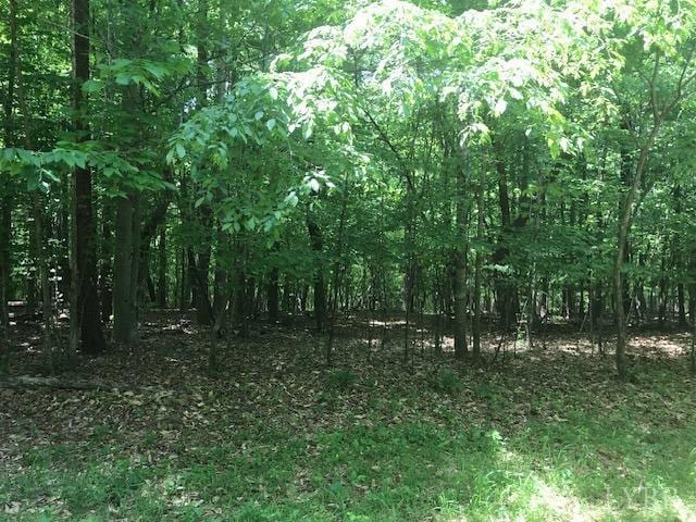 687 Elon Rd, Madison Heights, VA 24572