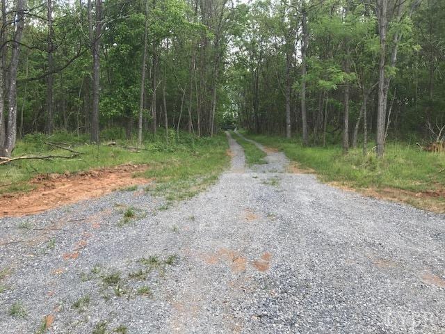 687 Elon Rd, Madison Heights, VA 24572