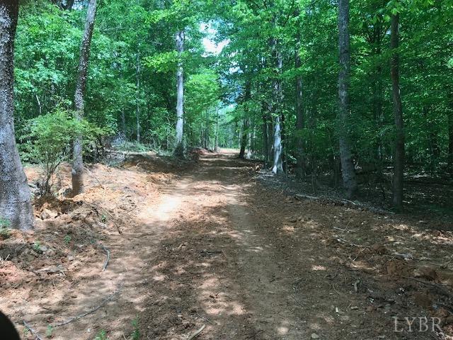687 Elon Rd, Madison Heights, VA 24572