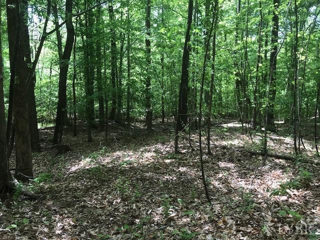 687 Elon Rd, Madison Heights, VA 24572