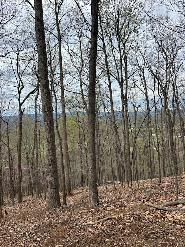 24 Crane Dr, Monroe VA, 24574 land for sale