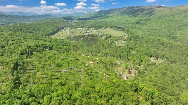 122 Gravelly Ridge Rd, Troutville, VA 24175 - birds eye view of property featuring a forest view and a mountain view