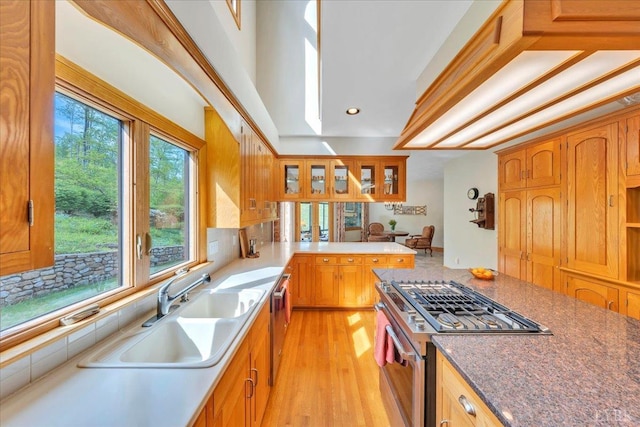122 Gravelly Ridge Rd, Troutville, VA 24175 - kitchen with light wood-style flooring, glass insert cabinets, a sink, a peninsula, and stainless steel appliances