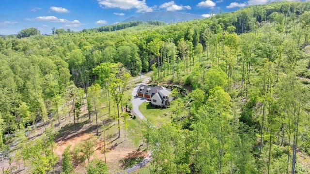 122 Gravelly Ridge Rd, Troutville, VA 24175 - photo 85