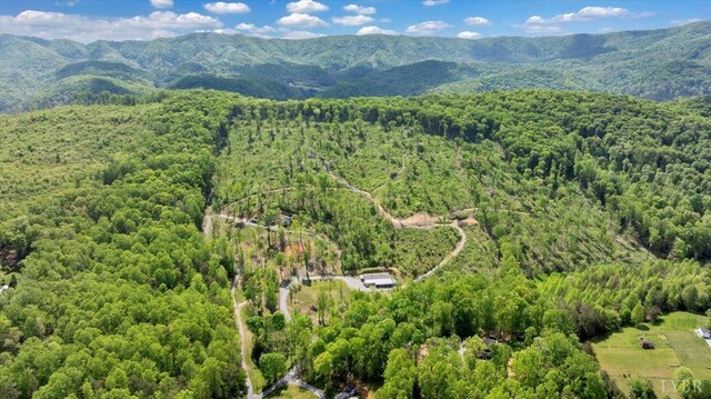 122 Gravelly Ridge Rd, Troutville, VA 24175 - photo 86
