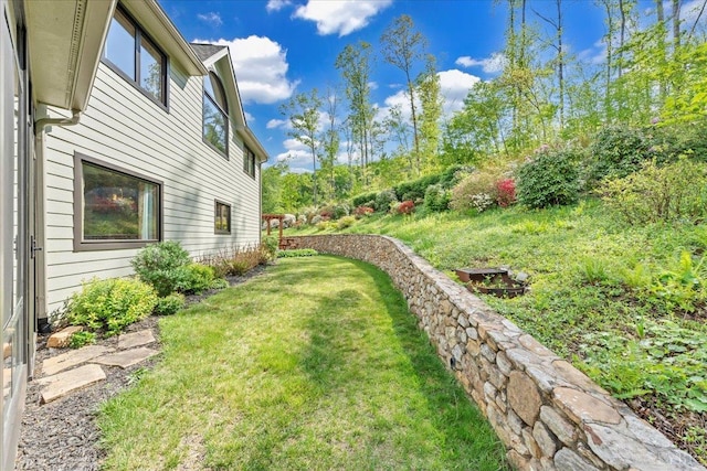 122 Gravelly Ridge Rd, Troutville, VA 24175 - view of yard