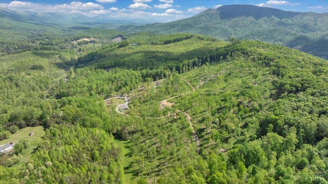 122 Gravelly Ridge Rd, Troutville, VA 24175 - bird's eye view featuring a mountain view and a wooded view