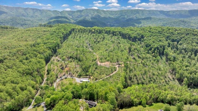122 Gravelly Ridge Rd, Troutville, VA 24175 - bird's eye view with a mountain view and a forest view