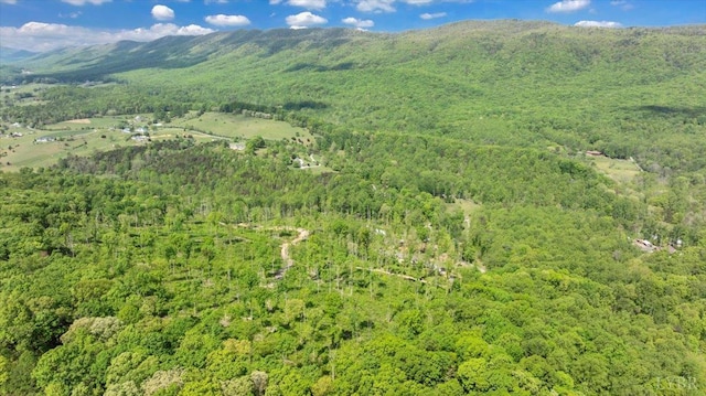122 Gravelly Ridge Rd, Troutville, VA 24175 - bird's eye view with a view of trees and a mountain view