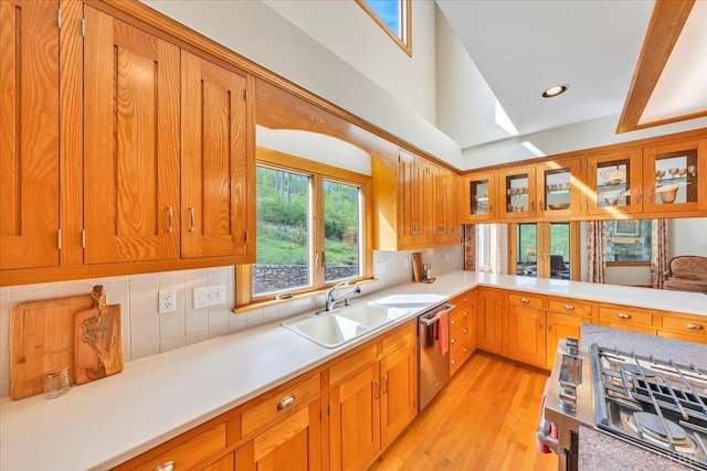 122 Gravelly Ridge Rd, Troutville, VA 24175 - kitchen with light countertops, brown cabinets, a sink, dishwasher, and light wood-style floors