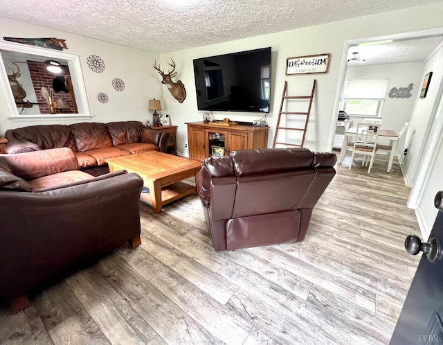 139 Abbitts Dr, Madison Heights, VA 24572 - living room with wood finished floors and a textured ceiling