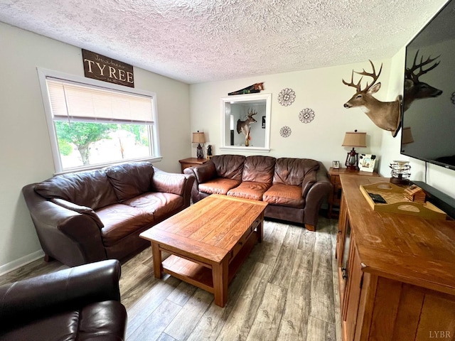 living room with a textured ceiling and wood finished floors
