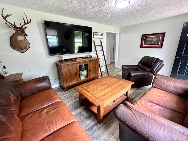 139 Abbitts Dr, Madison Heights, VA 24572 - living area with a textured ceiling, light wood-style flooring, and baseboards