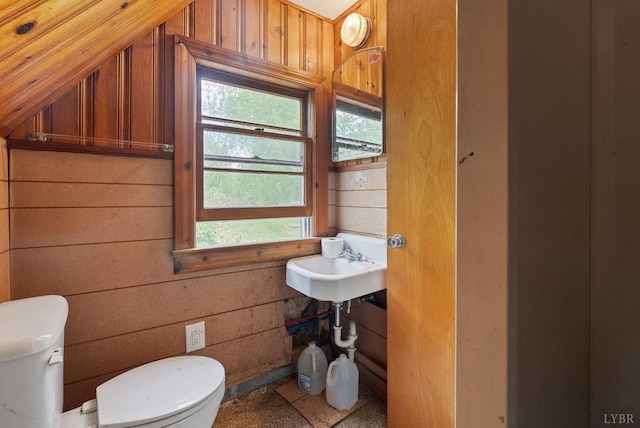 600 9th St, Altavista, VA 24517 - bathroom featuring toilet and wooden walls