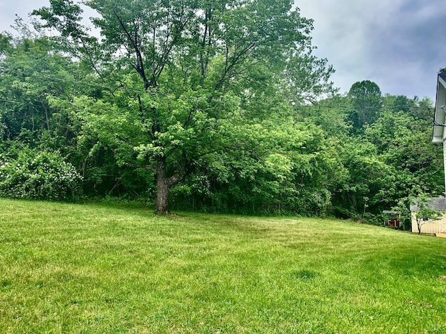 1349 Murray Hollow Rd, Thaxton, VA 24174 - view of green lawn