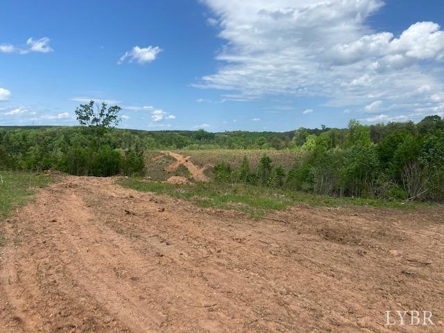 0 Shula Dr, Hurt, VA 24563 - photo 5