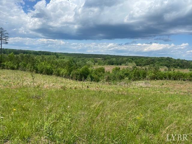 0 Shula Dr, Hurt, VA 24563 - photo 9