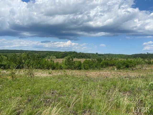 0 Shula Dr, Hurt, VA 24563 - photo 8