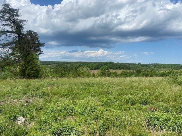 0 Shula Dr, Hurt, VA 24563 - photo 3
