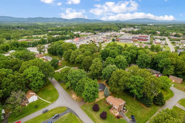 112 Forest Dale Dr, Forest, VA 24551 - photo 46