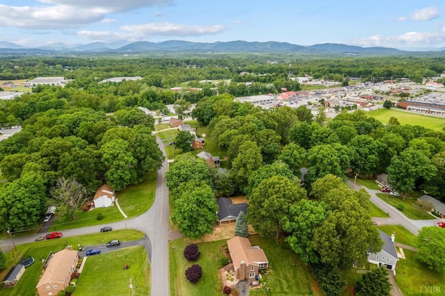 112 Forest Dale Dr, Forest, VA 24551 - photo 45