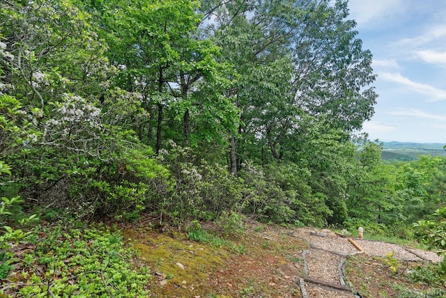 885 Cresthill Rd, Lynchburg, VA 24504 - view of undeveloped land