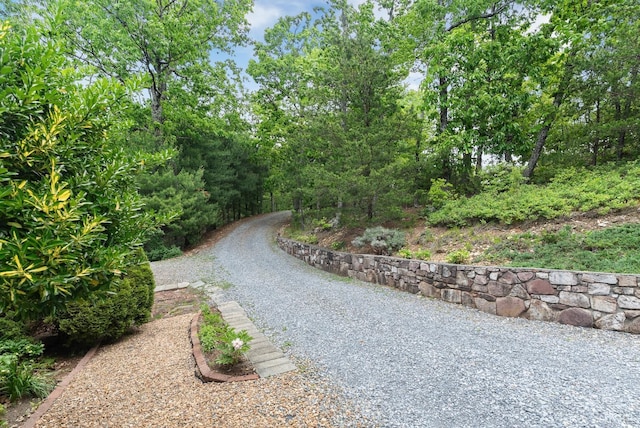 885 Cresthill Rd, Lynchburg, VA 24504 - view of street