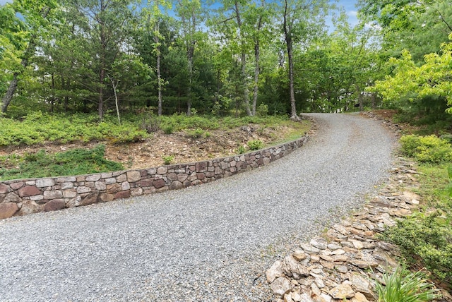 885 Cresthill Rd, Lynchburg, VA 24504 - view of road