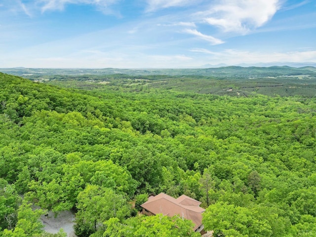 885 Cresthill Rd, Lynchburg, VA 24504 - drone / aerial view of a forest
