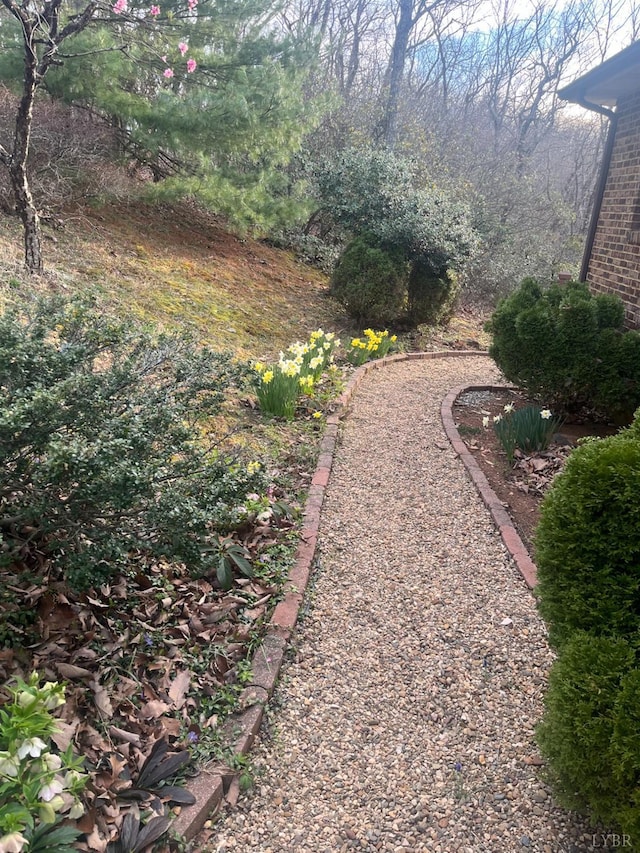 885 Cresthill Rd, Lynchburg, VA 24504 - view of yard