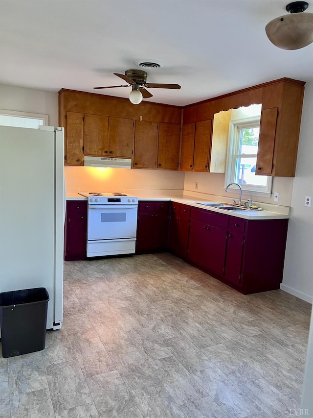 202 Dalton St, Gretna, VA 24557 - kitchen with white appliances, under cabinet range hood, a ceiling fan, light countertops, and a sink