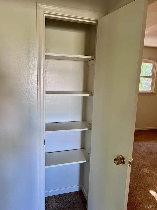 202 Dalton St, Gretna, VA 24557 - view of closet