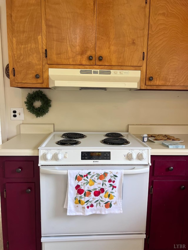 202 Dalton St, Gretna, VA 24557 - kitchen featuring white range with electric stovetop, under cabinet range hood, and light countertops