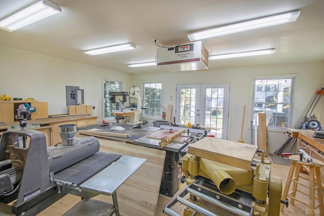 miscellaneous room with a workshop area, french doors, plenty of natural light, and wood finished floors