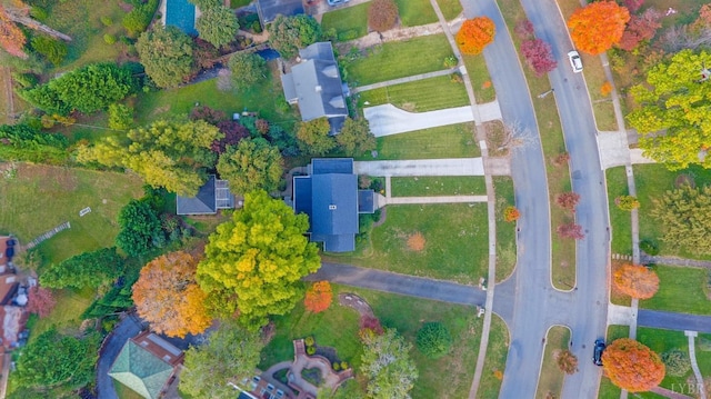 bird's eye view