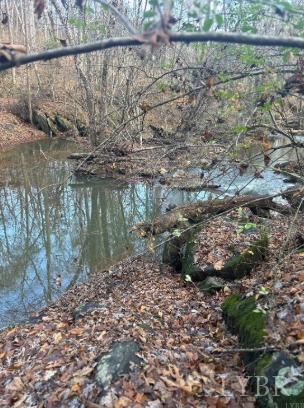 1228 Mill Dam Ln, Forest, VA 24551 - water view