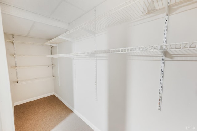 7230 Wards Rd, Rustburg, VA 24588 - walk in closet featuring carpet flooring