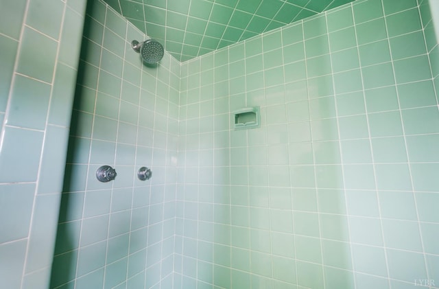 7230 Wards Rd, Rustburg, VA 24588 - bathroom view of a tile shower
