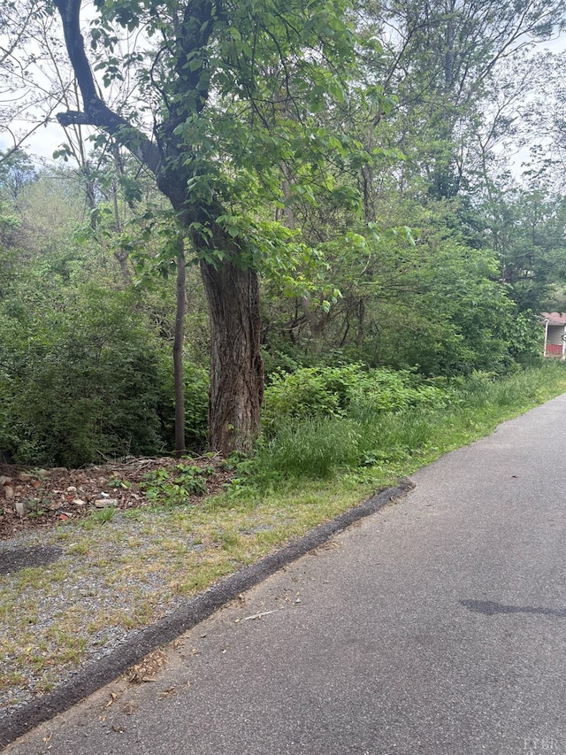 1719 Spencer, Lynchburg, VA 24504
